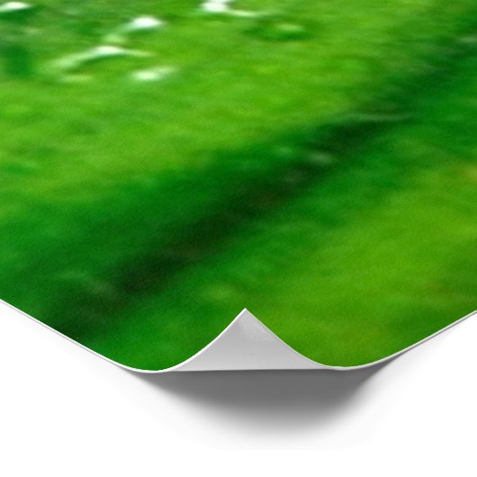 Kikker 4 Poster (Hoek)