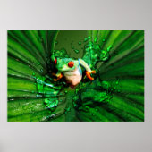 Kikker 4 Poster (Voorkant)