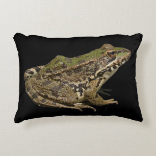 Kikker Accent Kussen