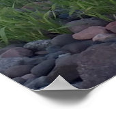 Kikker alleen Poster afdrukken (Hoek)