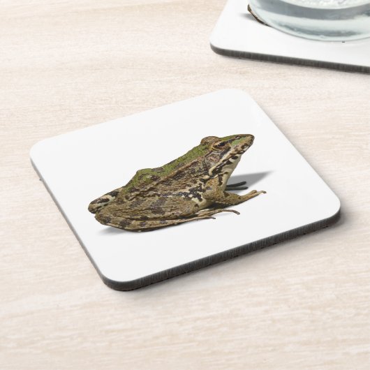 Kikker Bier Onderzetter (Linkerzijde)