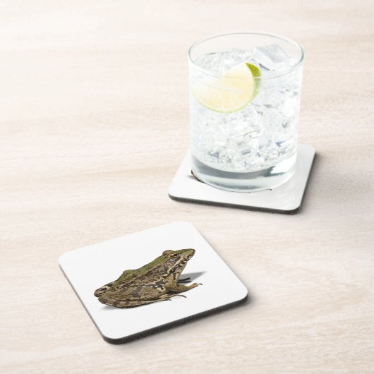 Kikker Bier Onderzetter (Rechterzijde)