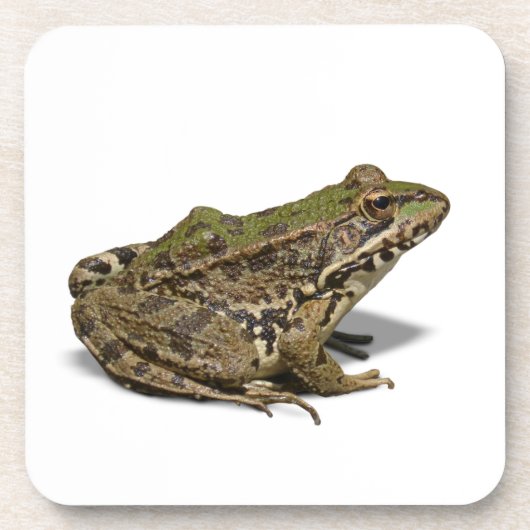 Kikker Bier Onderzetter (Voorkant)