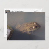 kikker briefkaart (Voorkant / Achterkant)