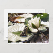 Kikker Briefkaart (Voorkant / Achterkant)