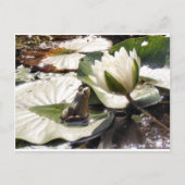 Kikker Briefkaart (Voorkant)