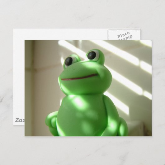 Kikker briefkaart (Voorkant / Achterkant)