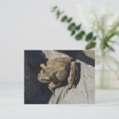 Kikker briefkaart (Staand voorkant)