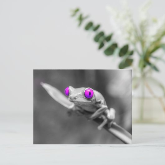 Kikker Briefkaart (Staand voorkant)