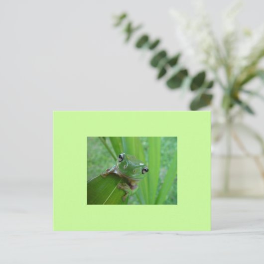 Kikker Briefkaart (Staand voorkant)