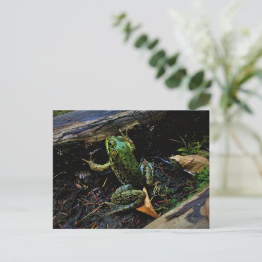 Kikker Briefkaart (Staand voorkant)