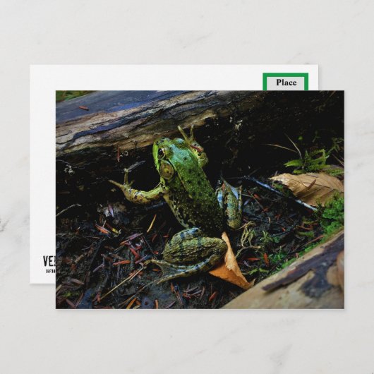 Kikker Briefkaart (Voorkant / Achterkant)