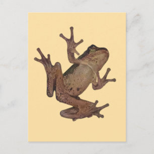 kikker briefkaart
