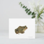 Kikker Briefkaart (Staand voorkant)