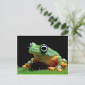 Kikker Briefkaart (Staand voorkant)