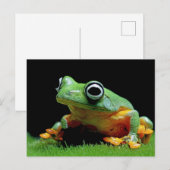 Kikker Briefkaart (Voorkant / Achterkant)