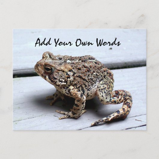 Kikker Briefkaart (Voorkant)