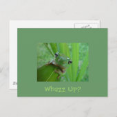 Kikker Briefkaart (Voorkant / Achterkant)