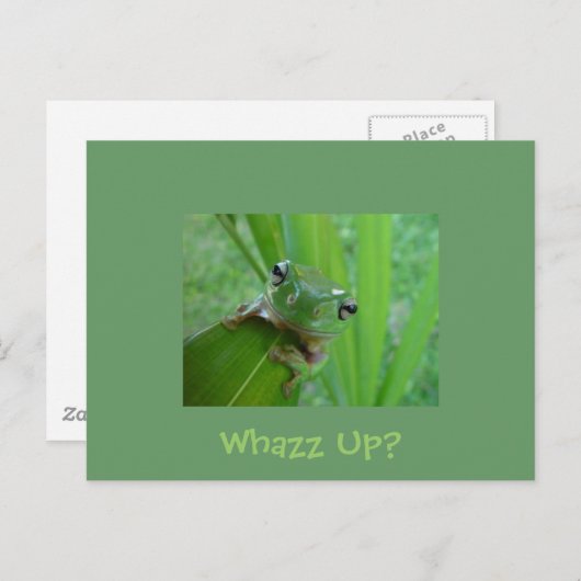 Kikker Briefkaart (Voorkant / Achterkant)