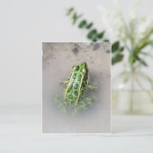 Kikker/Briefkaart Briefkaart (Staand voorkant)