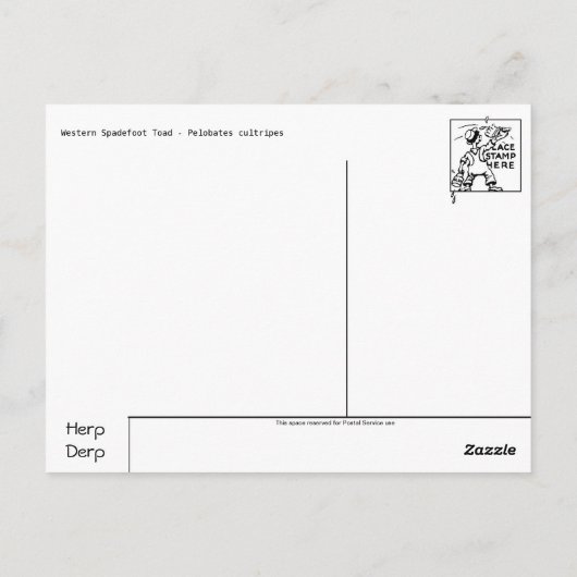 Kikker/Briefkaart Briefkaart (Achterkant)