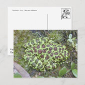 Kikker/Briefkaart Briefkaart (Voorkant / Achterkant)