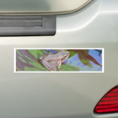 Kikker Bumpersticker (Op auto)