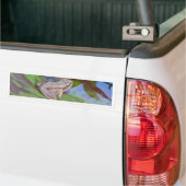 Kikker Bumpersticker (Op Truck)