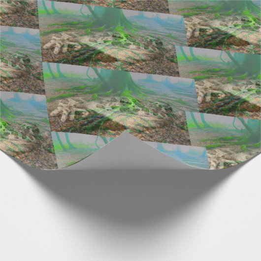 Kikker Cadeaupapier (Hoek)