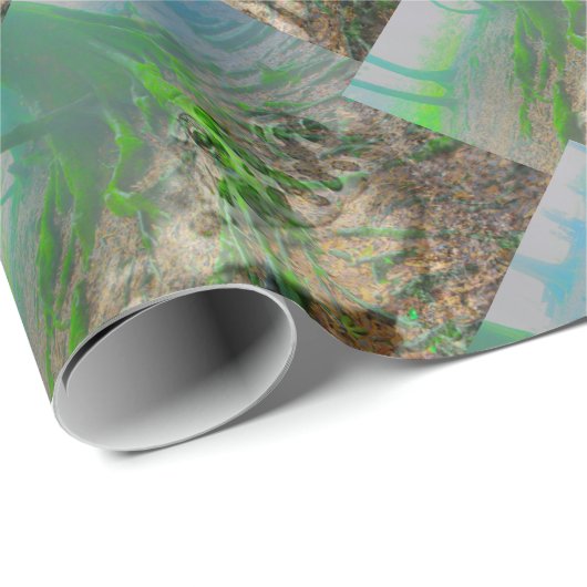 Kikker Cadeaupapier (Rol Hoek)