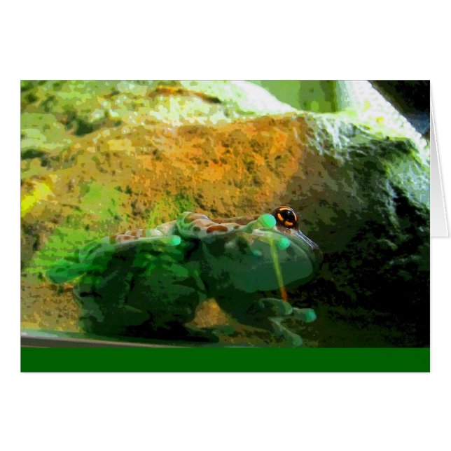 Kikker CB (Voorkant Horizontaal)