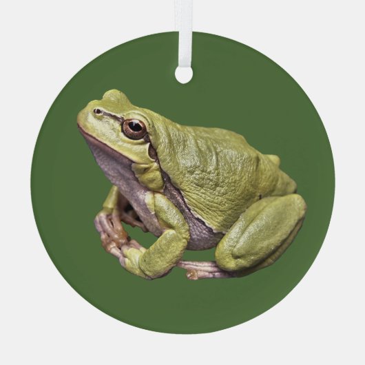 Kikker Cute Zen Kikker Glass Ornament (Achterkant)