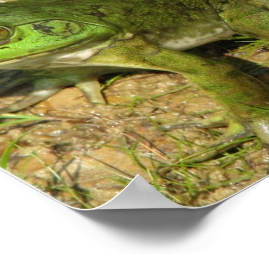 Kikker Design Poster Print (Hoek)