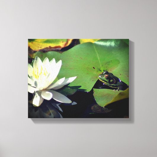 Kikker die Lotus Water Lily Flower Canvas Afdruk (Voorkant)