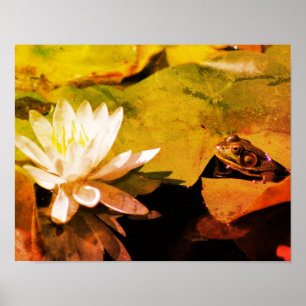 Kikker die water Lily Abstract grunge Poster