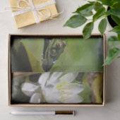 Kikker die water Lily ontkoppelt Tissuepapier (Geschenk)