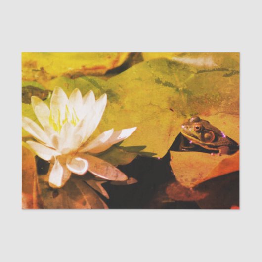 Kikker die water Lily  ontkoppelt Tissuepapier (Voorkant)