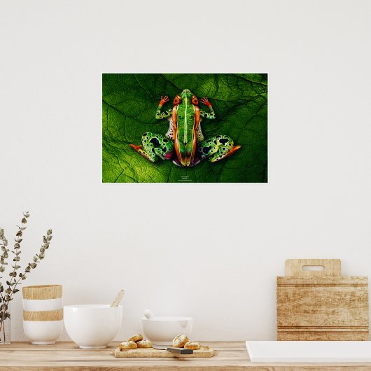 Kikker door Johannes Stötter Poster (Keuken)