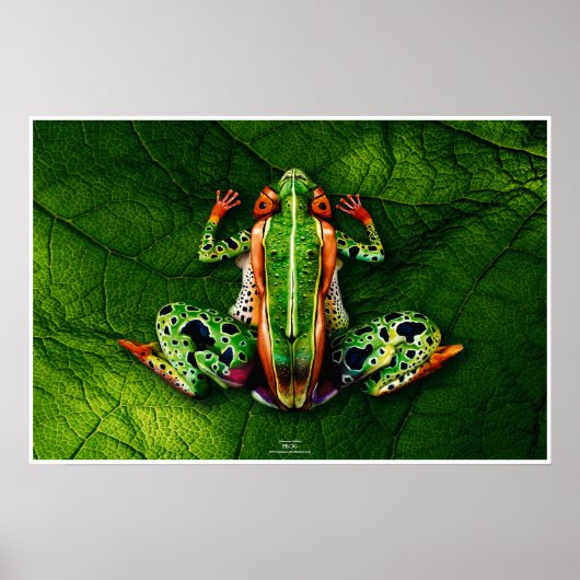 Kikker door Johannes Stötter Poster (Voorkant)