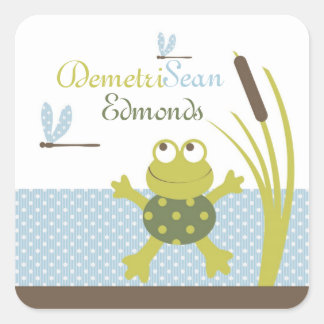 Kikker en Dragonfly Baby shower Vierkante Sticker