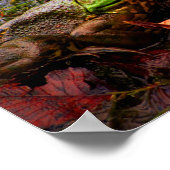 Kikker en kleuren poster (Hoek)