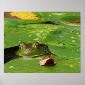 Kikker en Lily Pads Poster (Voorkant)
