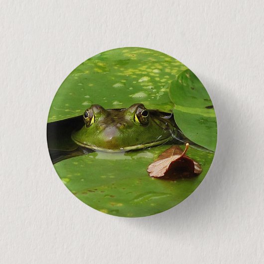 Kikker en Lily Pads Ronde Button 3,2 Cm (Voorkant)