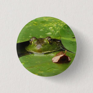Kikker en Lily Pads Ronde Button 3,2 Cm