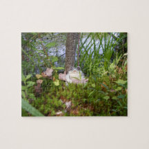 Kikker en logge compacte puzzel