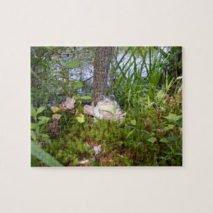 Kikker en logge compacte puzzel legpuzzel