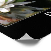 Kikker en Lotus Flower Beauty Quote Inspirerend Poster (Hoek)