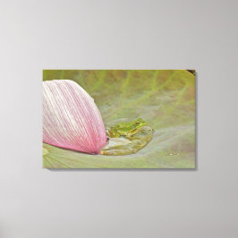 Kikker- en lotusbloempitaal, China Canvas Afdruk