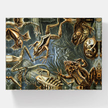 Kikker en pad Ernst Haeckel 