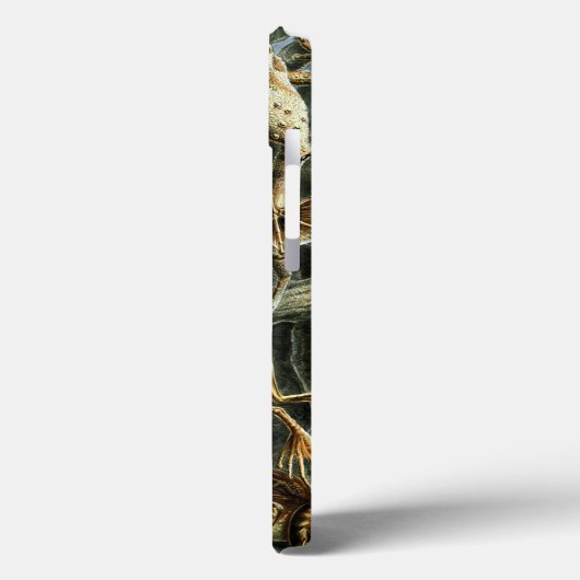 Kikker en pad Ernst Haeckel  Case-Mate iPhone Case (Achterkant / Links)